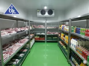 Cold Storage System dalam Industri: Pengertian, Fungsi dalam Cold Chain